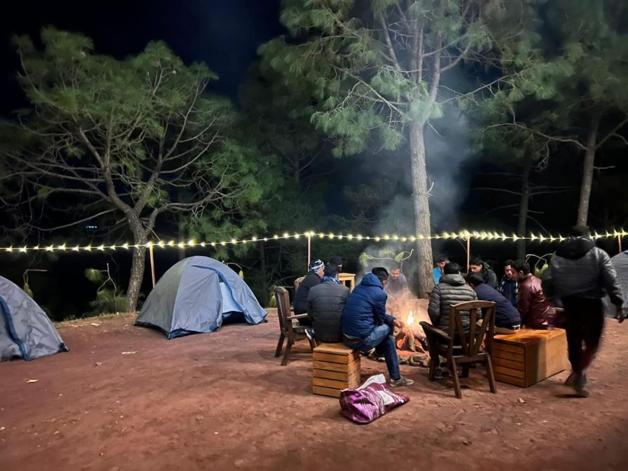 Hotel Tribe View - Away From City Hustle !! Top Rated & Most Awarded Property !! A Peaceful Stay Kasauli Bagian luar foto